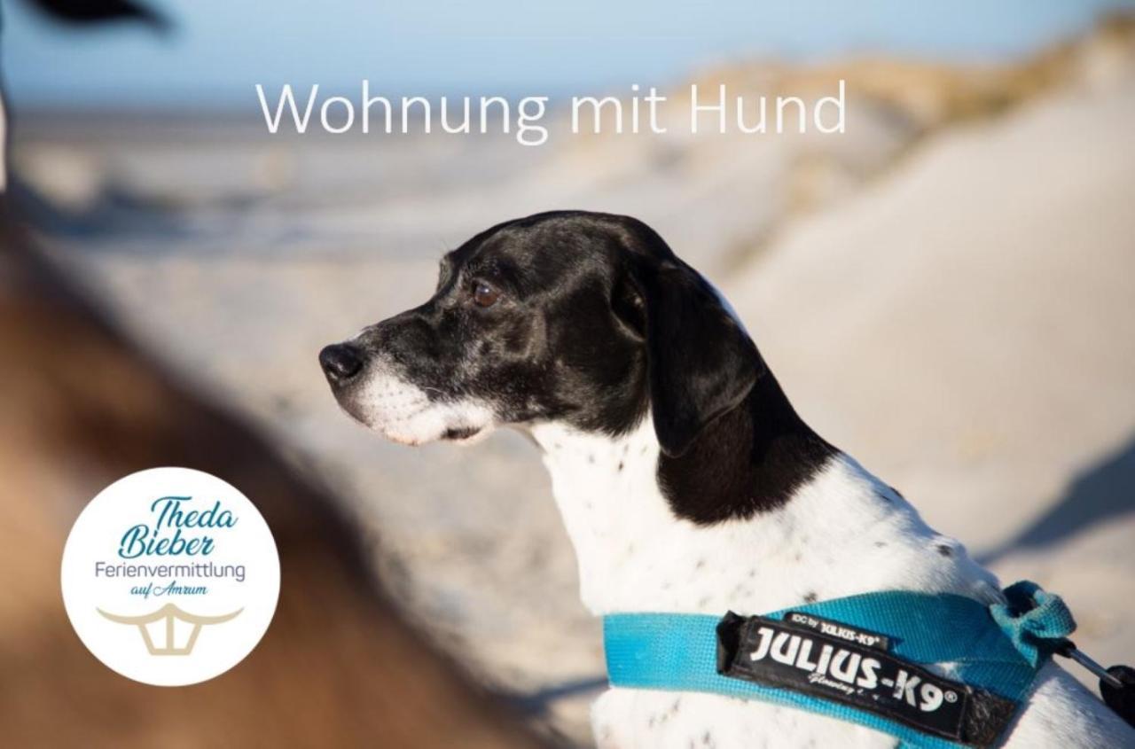 Haus Watthus - Wohnung Paradies Nebel Zewnętrze zdjęcie
